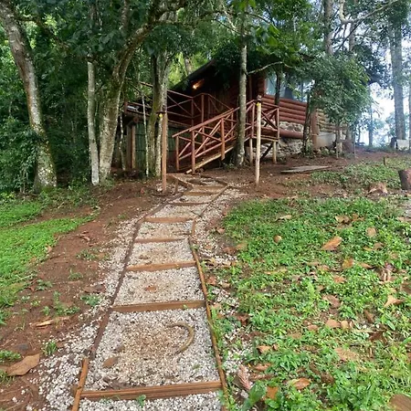 Cabana Dentro Da Floresta- Chales Perpetua Natureza Santo Antonio do Pinhal Exterior photo