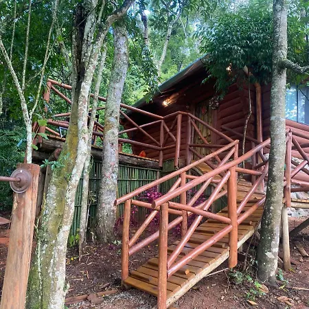 Cabana Dentro Da Floresta- Chales Perpetua Natureza Santo Antonio do Pinhal Exterior photo