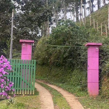 Cabana Dentro Da Floresta- Chales Perpetua Natureza Santo Antonio do Pinhal Exterior photo