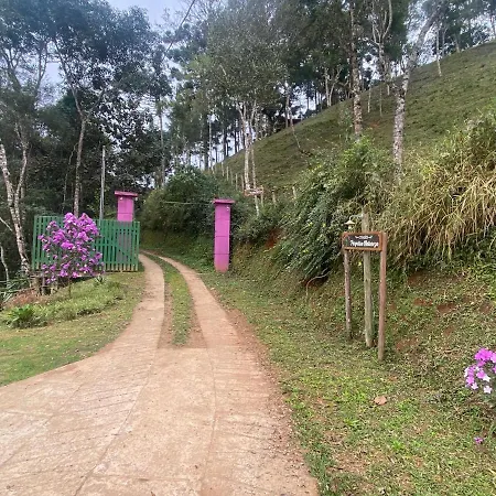 Cabana Dentro Da Floresta- Chales Perpetua Natureza Santo Antonio do Pinhal Exterior photo