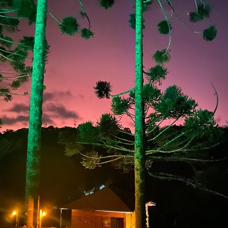 Cabana Dentro Da Floresta- Chales Perpetua Natureza Santo Antonio do Pinhal Exterior photo