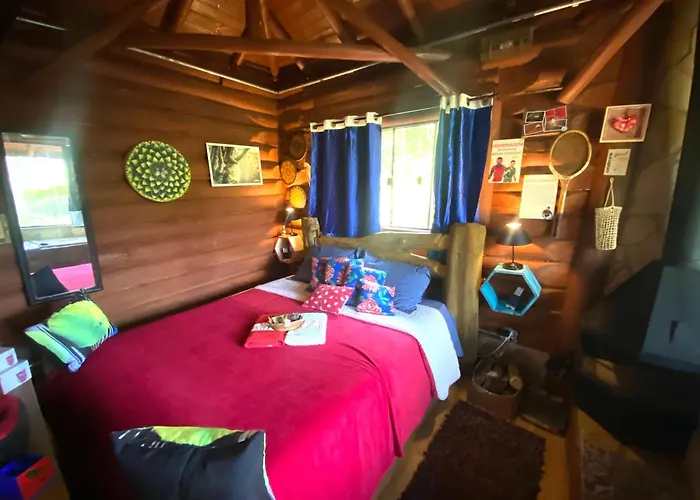 Cabana Dentro Da Floresta- Chales Perpetua Natureza