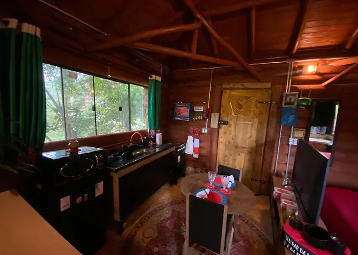 Cabana Dentro Da Floresta- Chales Perpetua Natureza