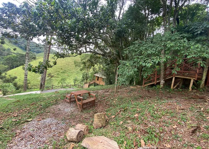Cabana Dentro Da Floresta- Chales Perpetua Natureza