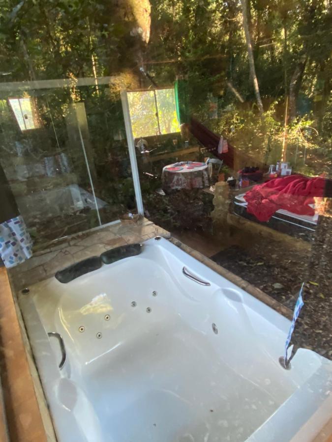 Dentro Da Floresta- Perpetua Natureza Holiday home *