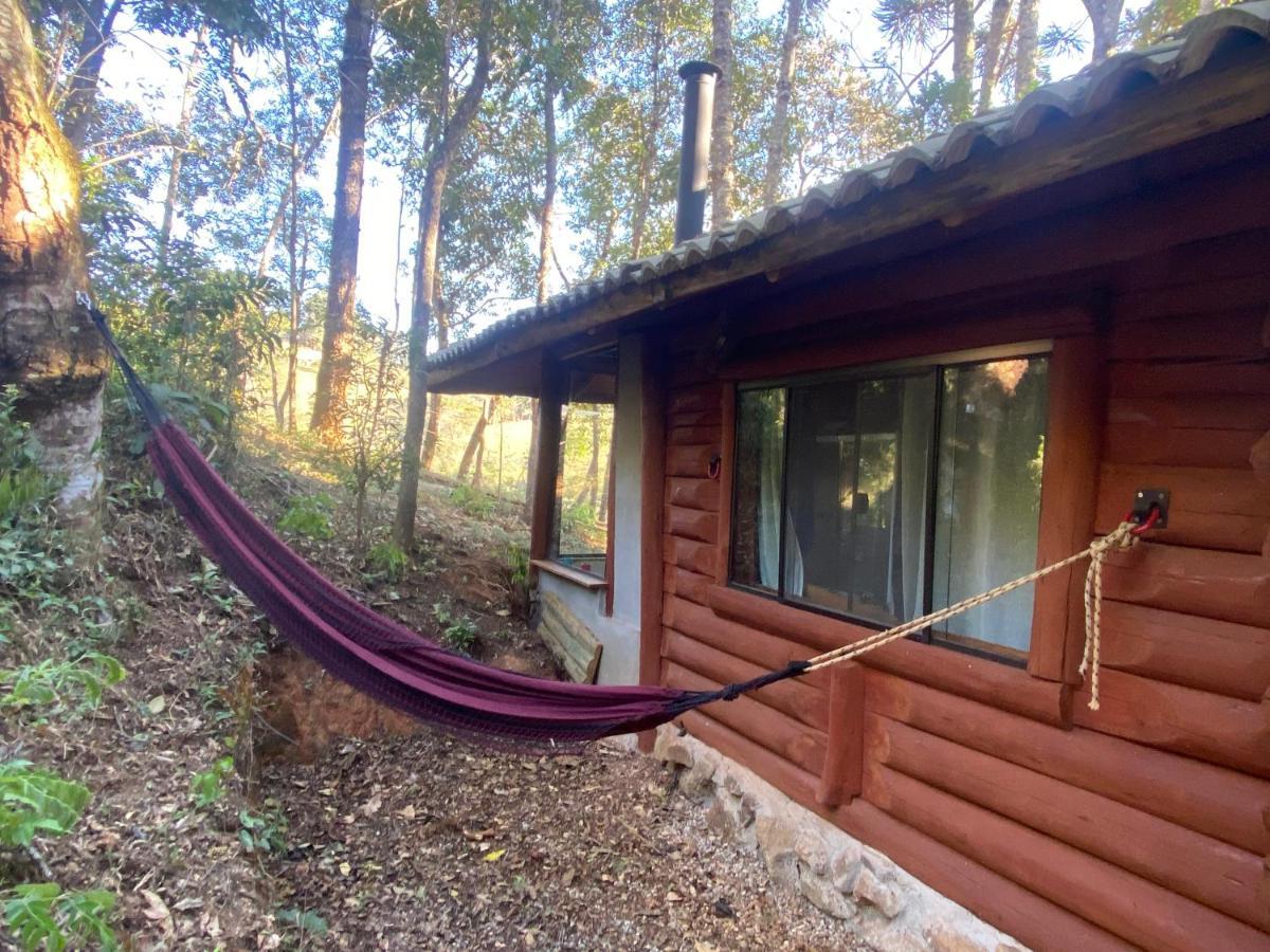 Holiday home Dentro Da Floresta- Perpetua Natureza