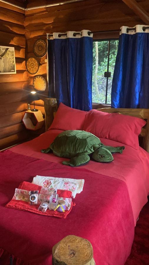 Dentro Da Floresta- Perpetua Natureza Holiday home