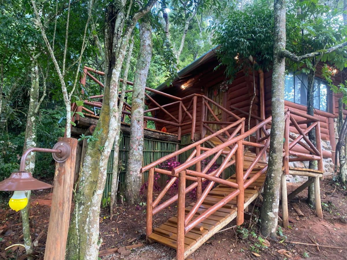 Holiday home Dentro Da Floresta- Perpetua Natureza Santo Antonio do Pinhal