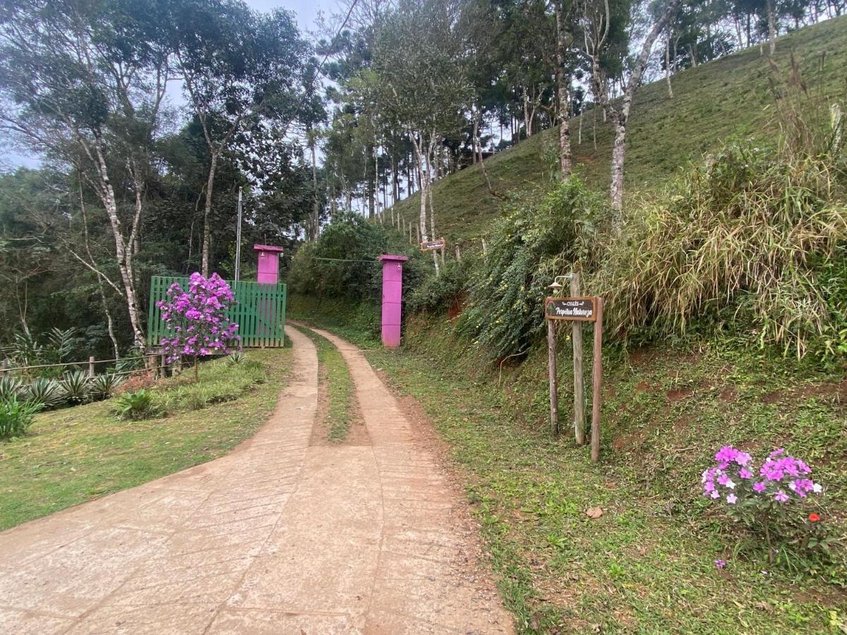 Dentro Da Floresta- Perpetua Natureza Santo Antonio do Pinhal