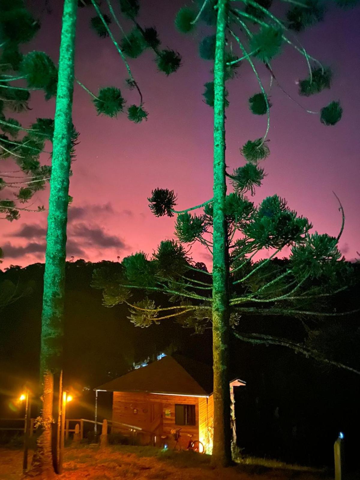 Holiday home Dentro Da Floresta- Perpetua Natureza