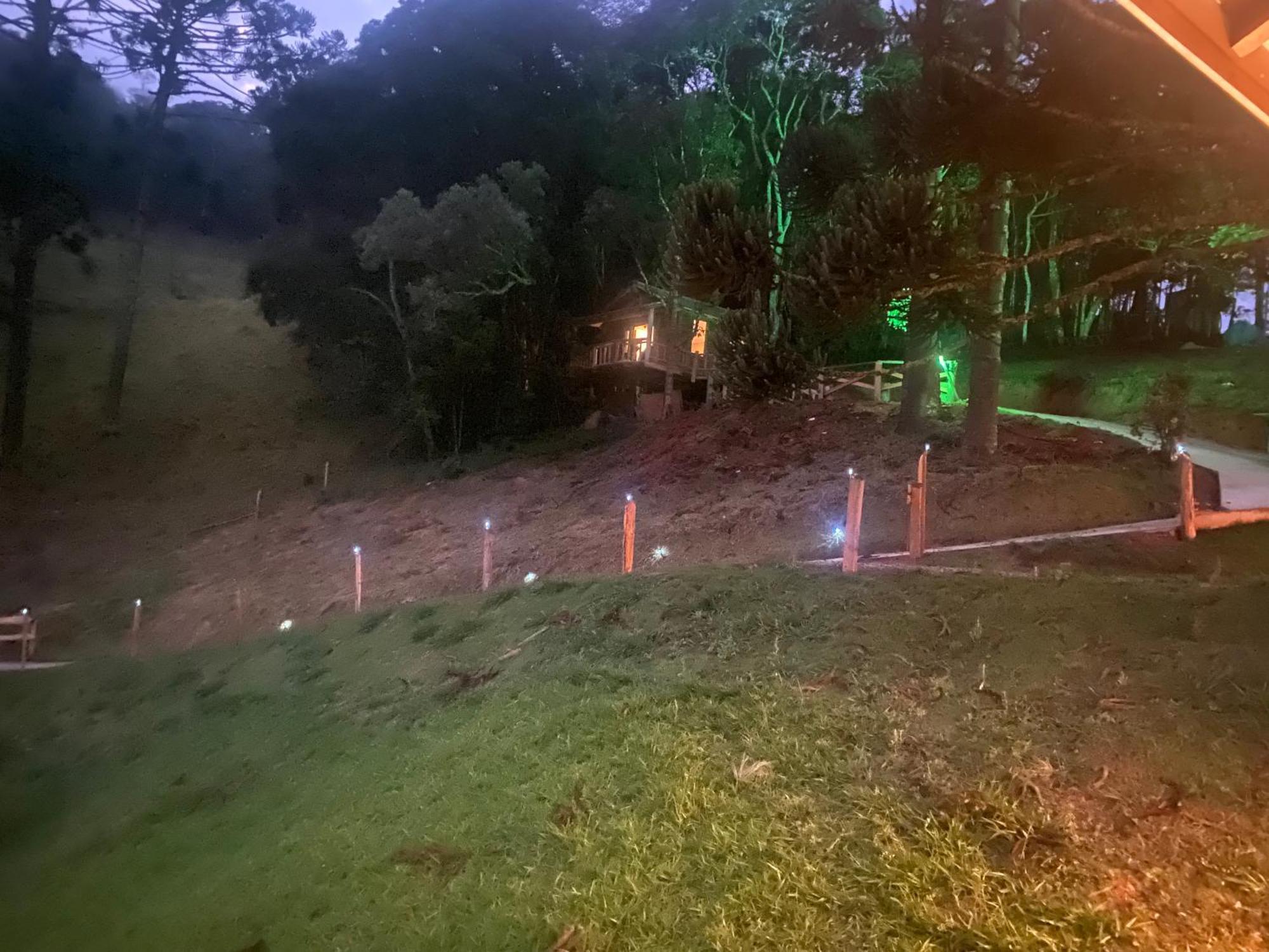 Dentro Da Floresta- Perpetua Natureza