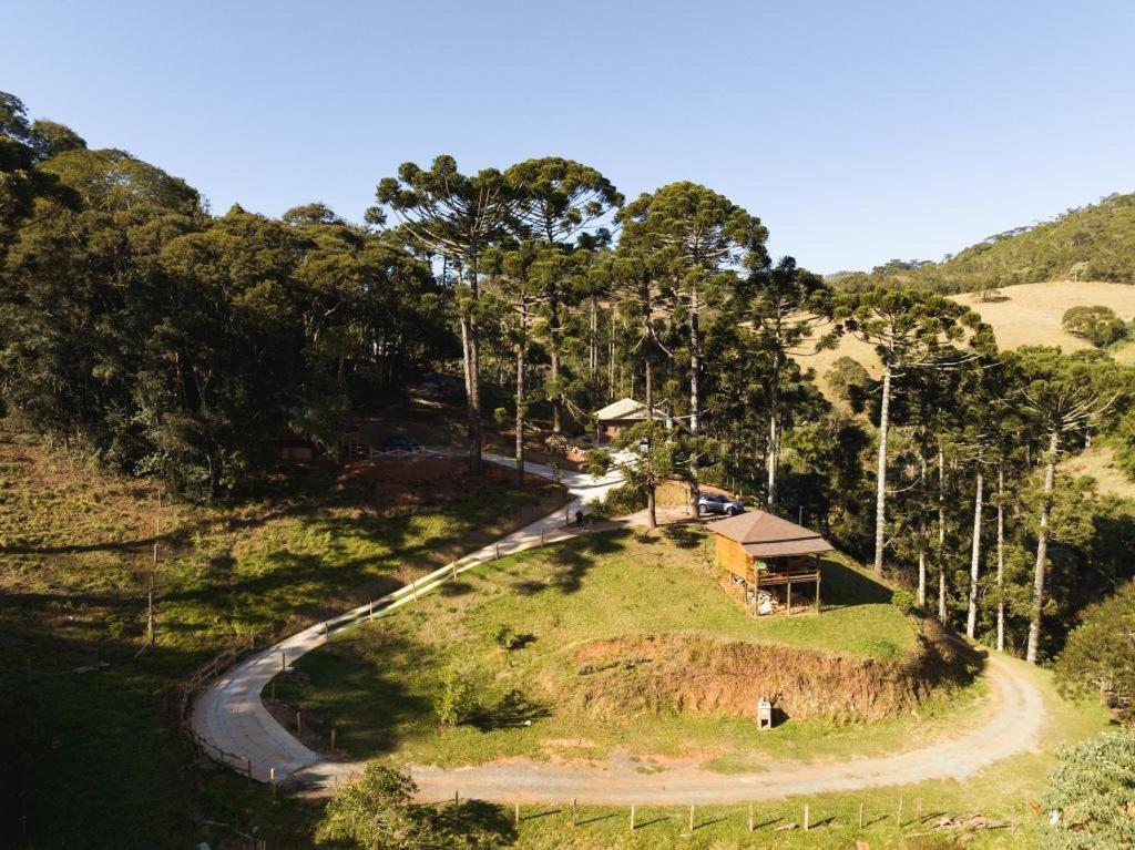 Holiday home Dentro Da Floresta- Perpetua Natureza *