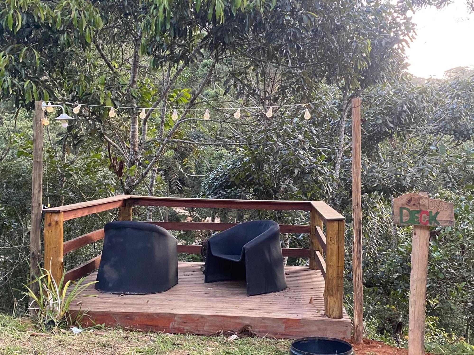 Dentro Da Floresta- Perpetua Natureza *