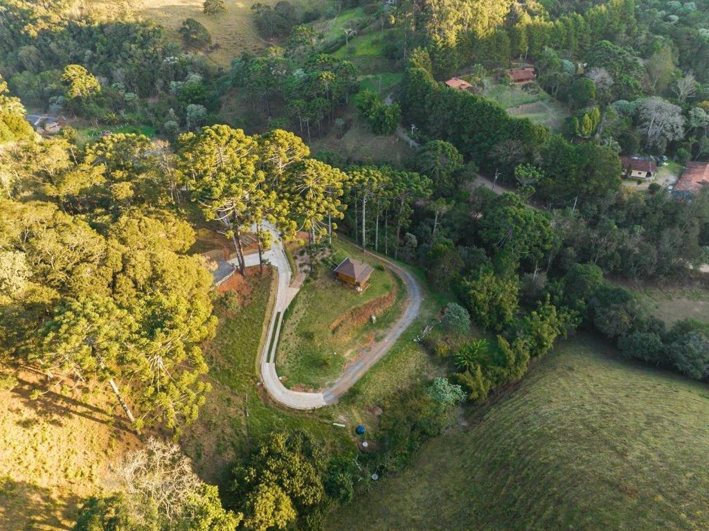 Holiday home Dentro Da Floresta- Perpetua Natureza *