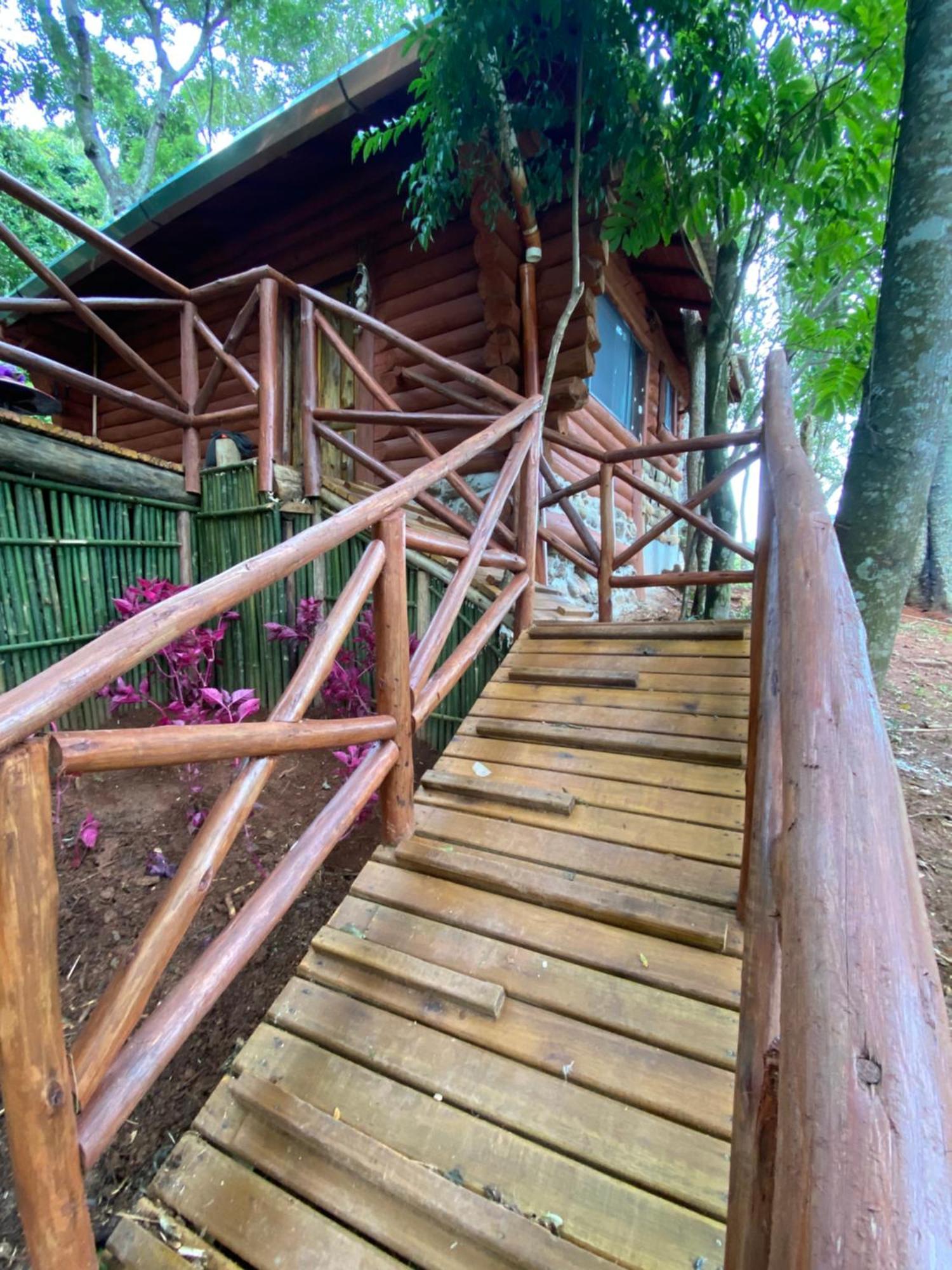 Dentro Da Floresta- Perpetua Natureza Santo Antonio do Pinhal