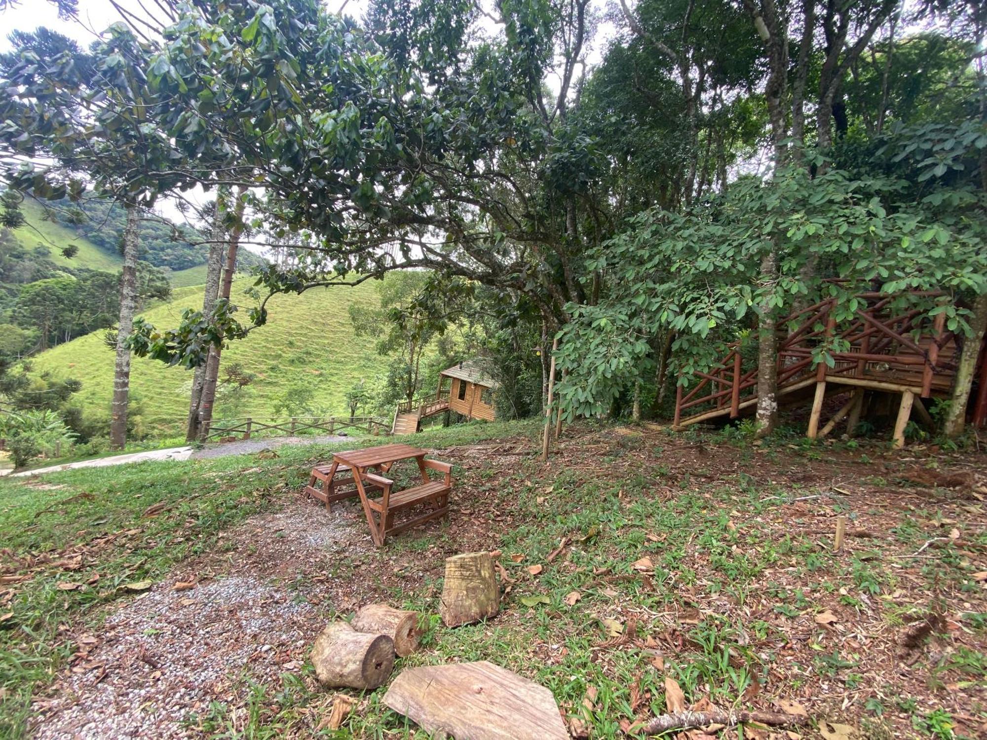 Dentro Da Floresta- Perpetua Natureza Holiday home *