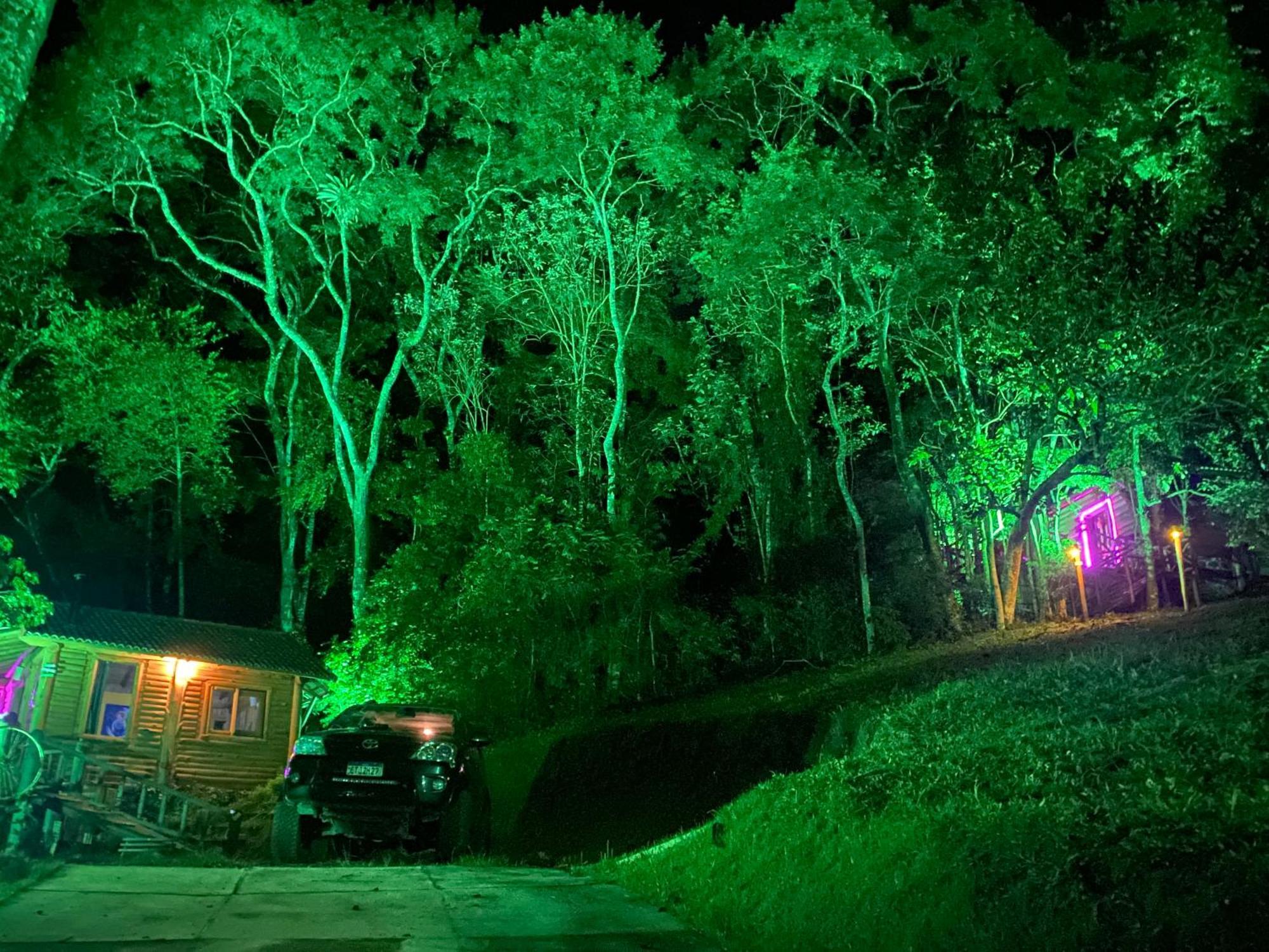 Dentro Da Floresta- Perpetua Natureza Holiday home *